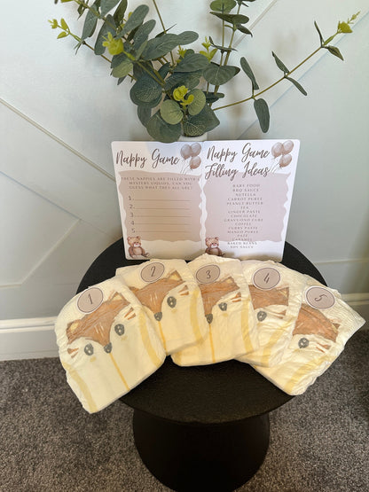 Teddy Nappy Game- Includes 5 Nappies and a list of filling ideas