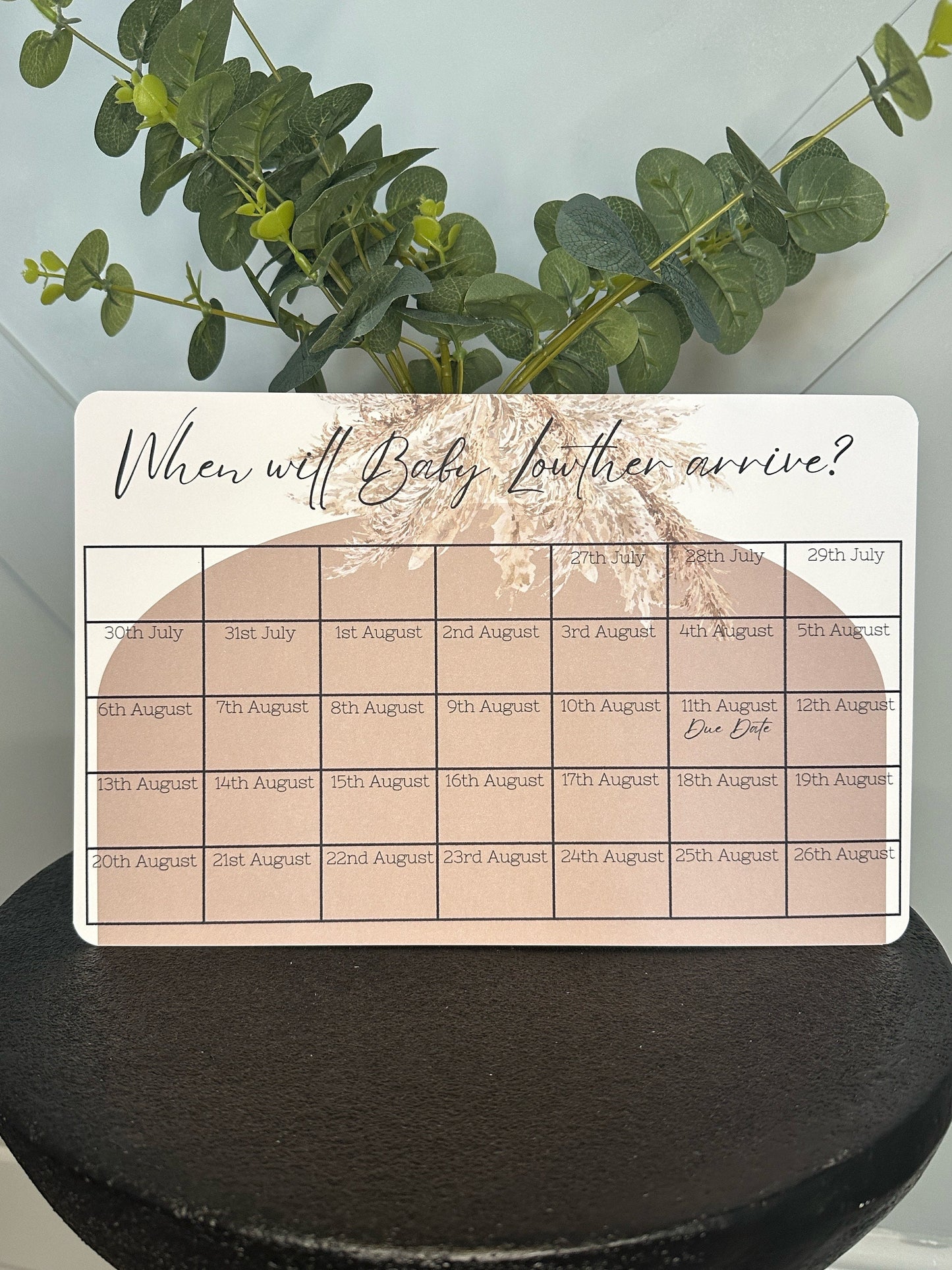 Pampas Baby Due Date Calendar Game